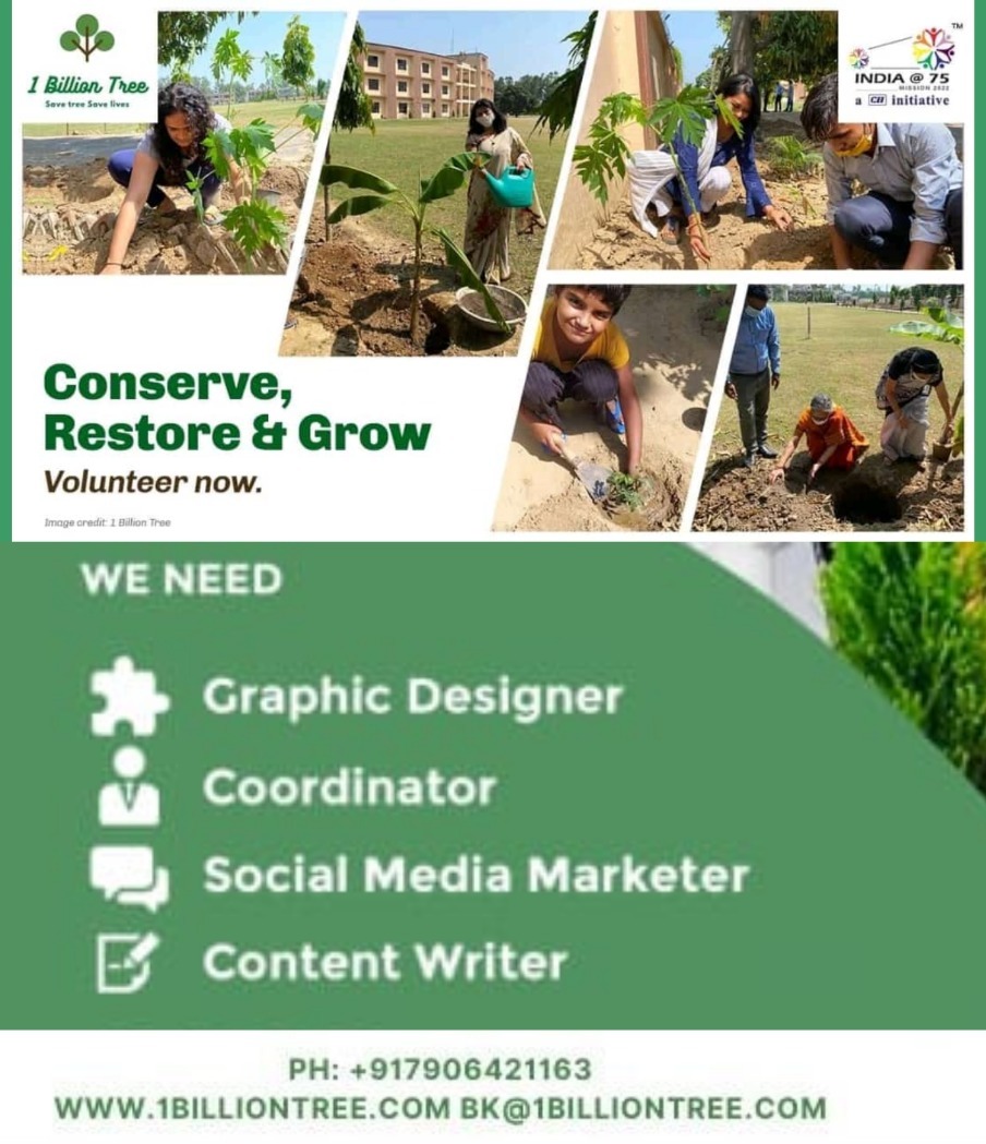 1billiontree's tweet photo. Volunteer Now,Help to Build the Nature,Save the Planet! #volunteer #internship #climatechange #1billiontree @YashMor5 @moefcc @pargaien @PTI_News @puja_das12 @anandmahindra @ril_foundation @narendramodi @TimesNetwork https://t.co/AolDkMLrHf