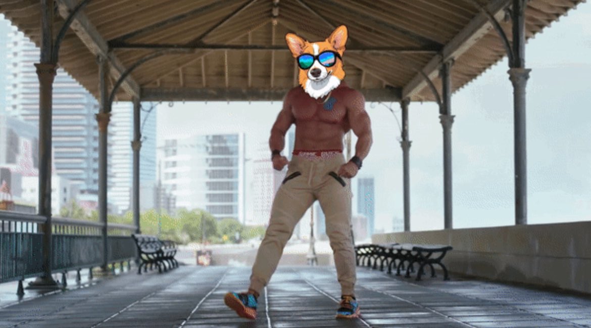 <a href="/lucidbtc/">Lucid</a> Omg it’s happening!  We from <a href="/CorgiCalls/">Corgi Calls</a> have our bags packed and are waiting at the bus station!