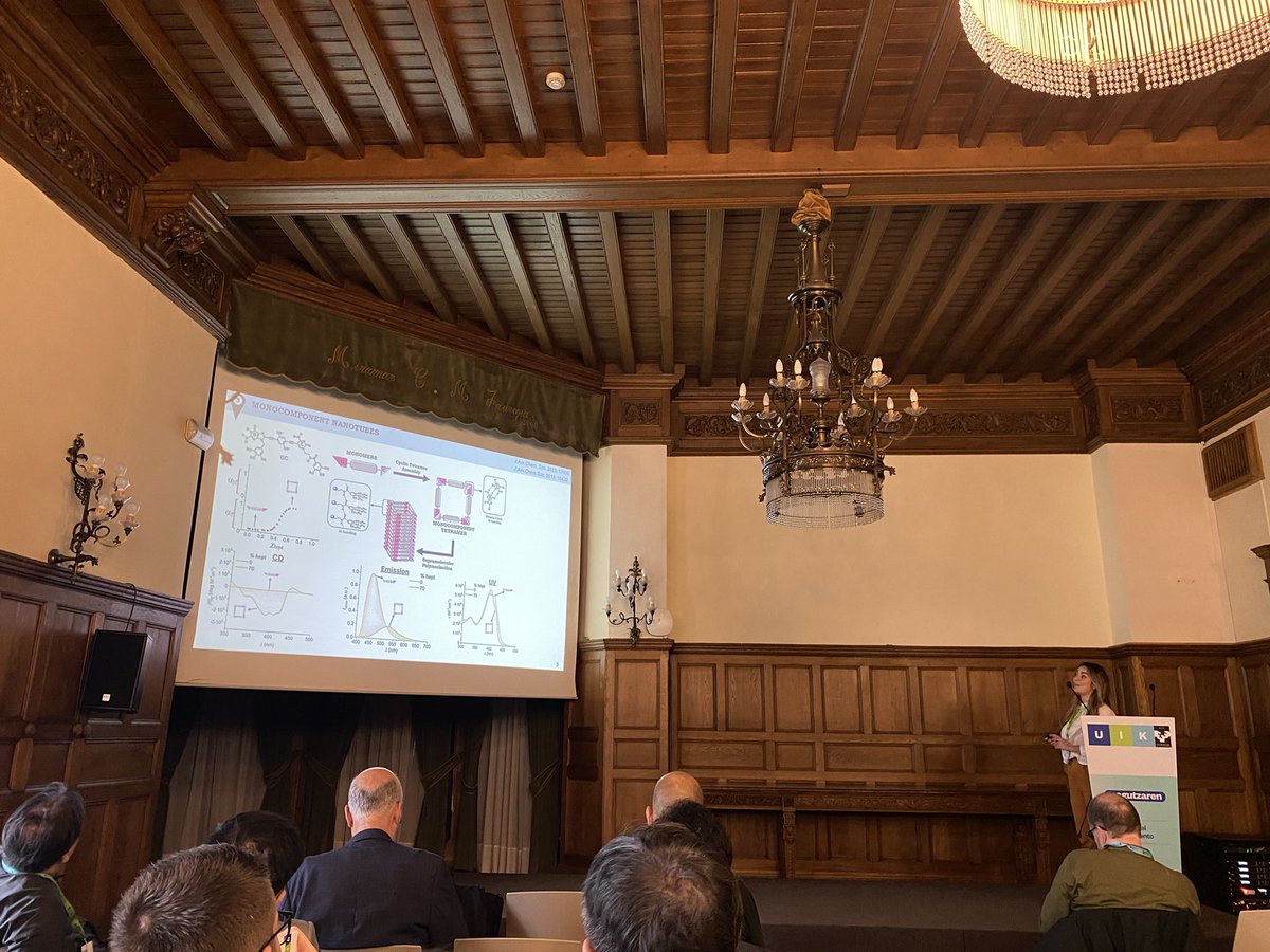 Marina_Chem's tweet image. Spent an incredible week at the @polymatsptl congress presenting our research on Columnar Supramolecular donor-acceptor copolymers. Many thanks to the organizers for a great event!