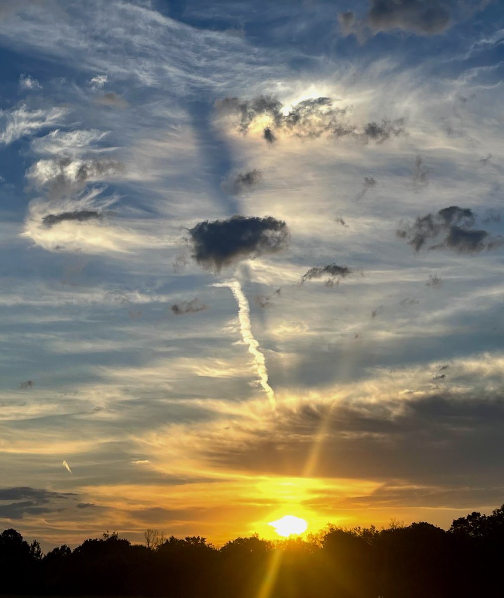 mpicsb's tweet image. GM!!