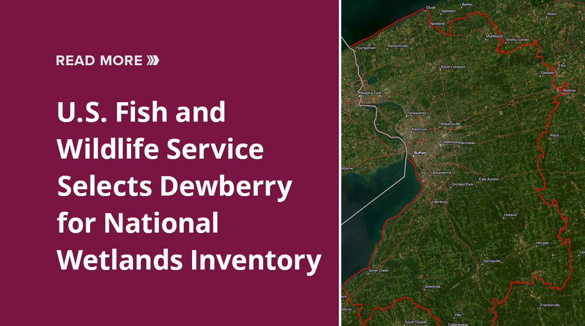 We are excited to announce that we have been selected to provide mapping services for the U.S. Fish and Wildlife Service's (USFWS) National Wetlands Inventory. Click for details: dewberry.com/insights-news/…
#wetlands #sustainability #geospatial