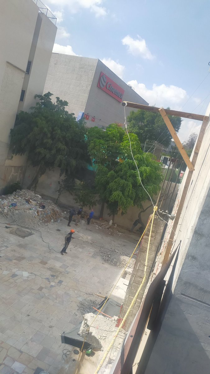 nomeacuerdoyame's tweet image. En estos momentos en Coahuila 34. Talando toda esta fila de árboles    con la crisis de calor que hay en la CD.  Dónde se reporta esto @paot @AlcaldiaMHmx @coclaudiacortes