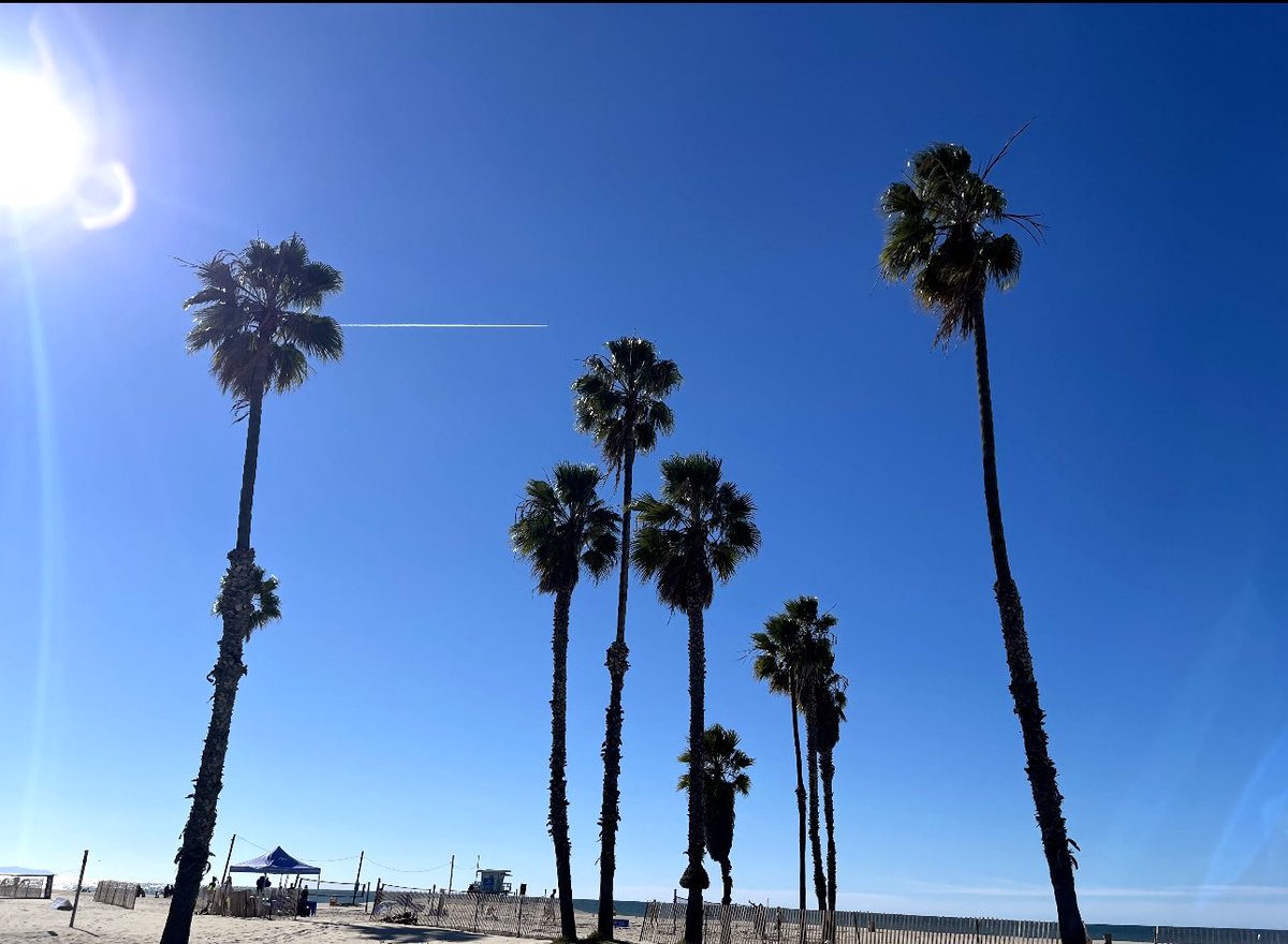 Elliott Higgins, MD 👨🎤 on Bluesky (@ehigginsmd) on Twitter photo 🚨 Open Fellowship Position Alert! 🚨 UCLA's top-tier Regional Anesthesia program has a spot open for the 25-26 year. Join us for unparalleled catheter experience, premier teaching, & work in one of the best cities in the world. 🌟 Interested? Reach out! #Anesthesia <a href="/UCLAAnes/">UCLA Anesthesiology</a> 🚨 Open Fellowship Position Alert! 🚨 UCLA's top-tier Regional Anesthesia program has a spot open for the 25-26 year. Join us for unparalleled catheter experience, premier teaching, & work in one of the best cities in the world. 🌟 Interested? Reach out! #Anesthesia <a href="/UCLAAnes/">UCLA Anesthesiology</a>