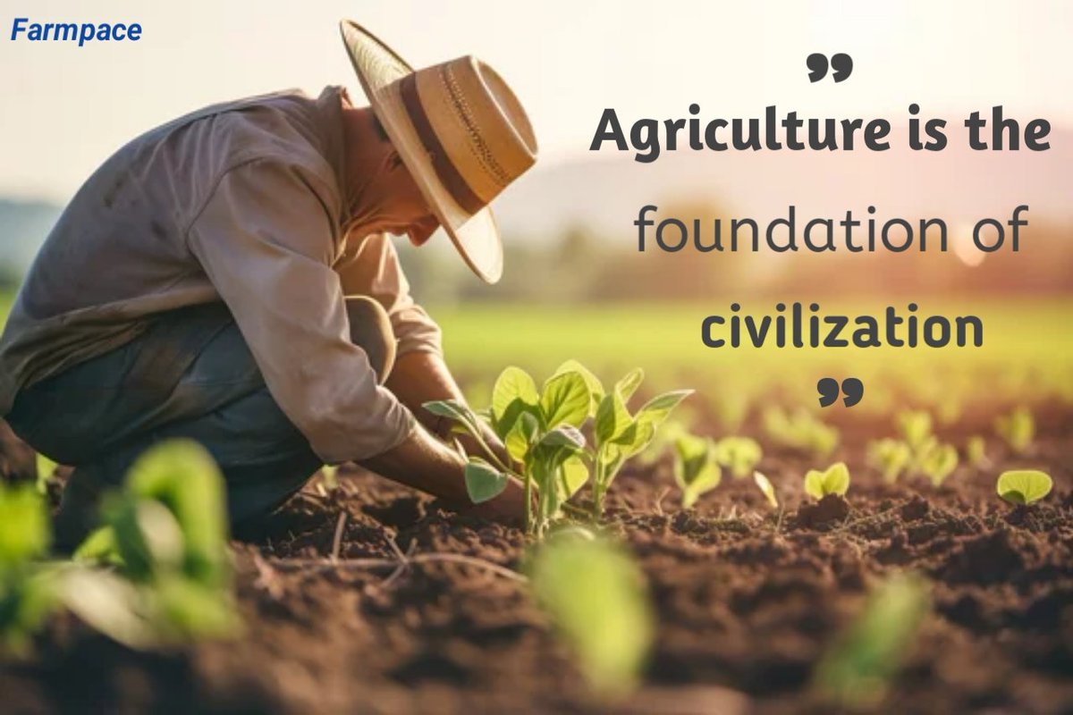 Farmclozza's tweet photo. Agriculture is the foundation of civilization. https://t.co/SC0akSQTih