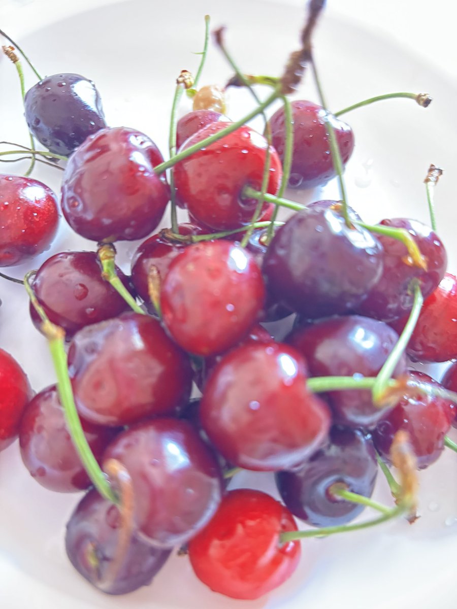 sparkths's tweet image. #chaeats it’s finally cherries season WE’LL BE EATING BOWLS EVERYDAY!