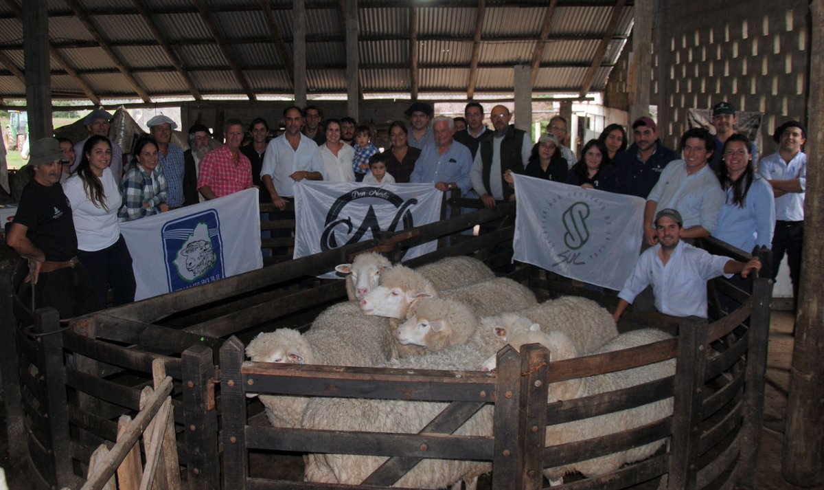 SUL_uy's tweet photo. ➡️ La gira Ile de France 2024 se desarrolló íntegramente en el departamento de Rocha, visitando los establecimientos Don Ángel y Don Néstor

💪🐑🇺🇾 https://t.co/7T5zmWpc4m