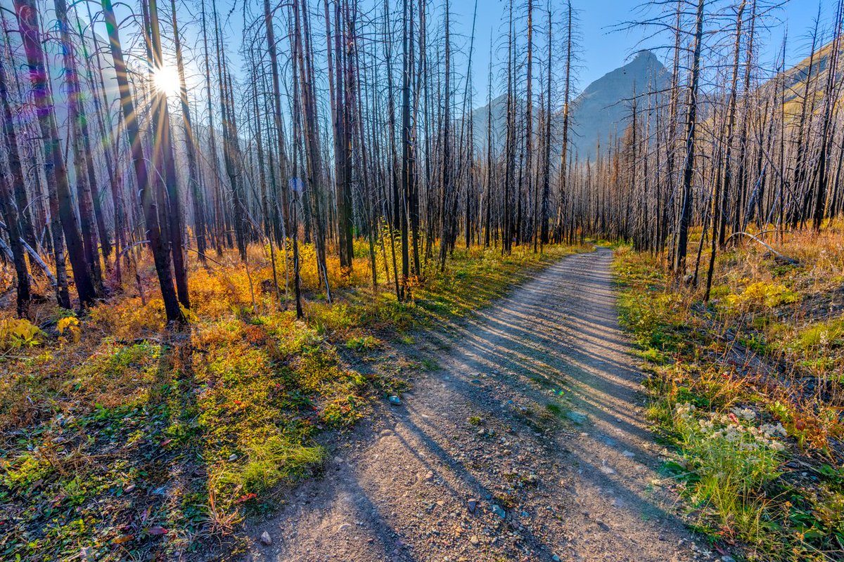 You can now apply to join the #NetZero Advisory Body! Interested candidates can apply here: pcogic.njoyn.com/cl3/xweb/xweb.…