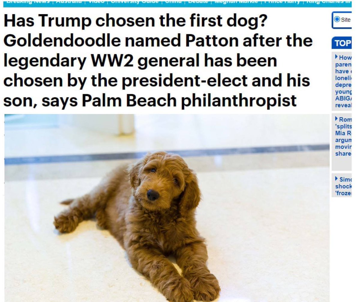 PattonCoinEth's tweet photo. PATTON - Trump's First Dog

https://t.co/OQP6c24PbT

https://t.co/VCS9JcK1rd

https://t.co/v2aB6OUHg9

https://t.co/eeOOu2UWcp

https://t.co/xnSkBZXqAs https://t.co/ryt1QZNB9d
