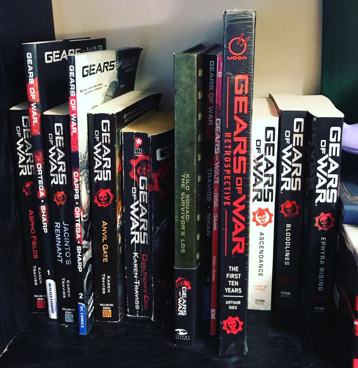 A physical perspective as to the order of the books and comics. Hivebusters is damaged and I’m getting a new one ordered in, but I promise I own it! (Survivors and Retrospective are just there. Didn’t organize those two)