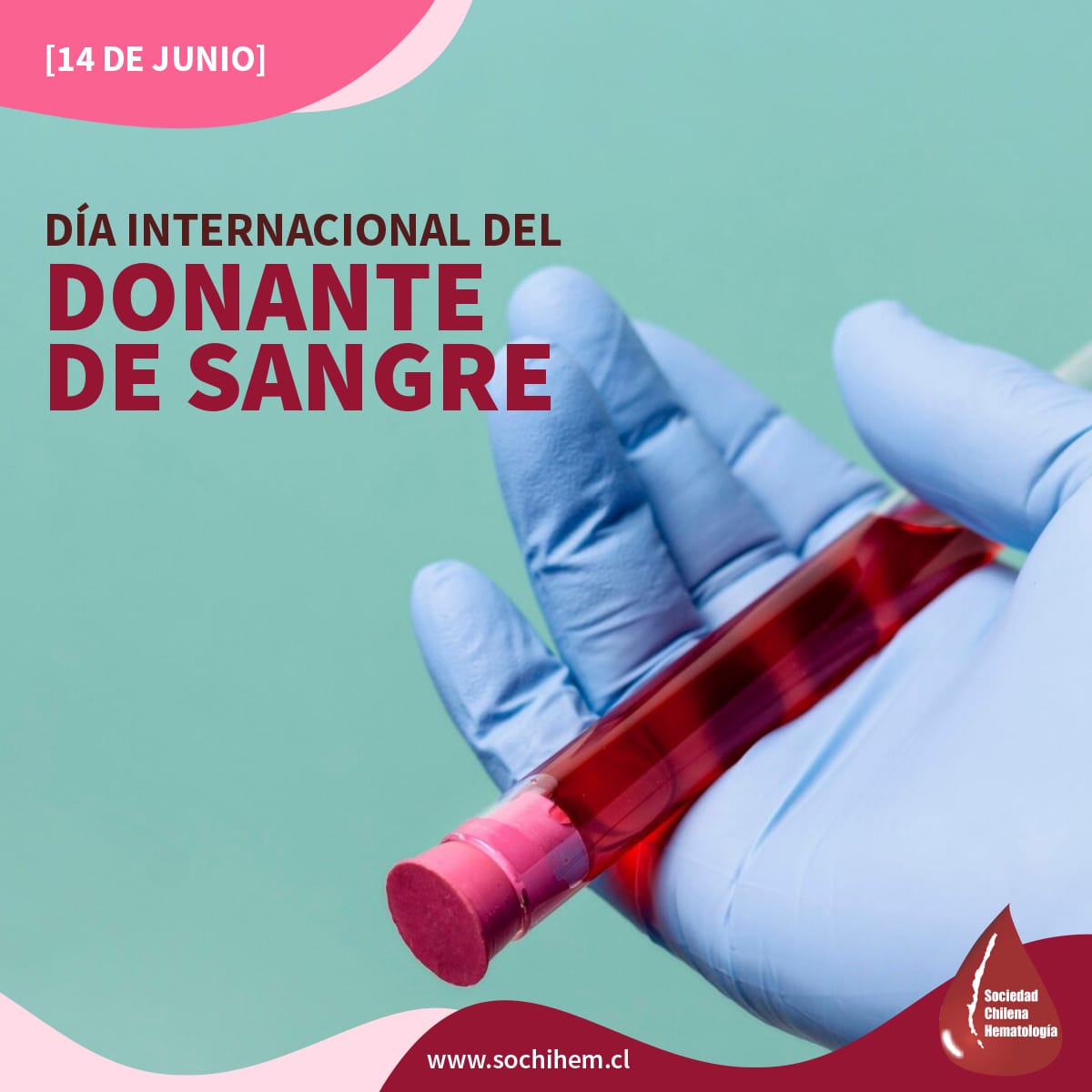 [14 DE JUNIO] DÍA INTERNACIONAL DEL DONANTE DE SANGRE 🩸
En este día agradecemos a todos los donantes voluntarios. Desde SOCHIHEM invitamos a las personas que cumplen con los requisitos a ser donantes de sangre y revisar los Centros de Donación acá &gt;&gt; sochihem.cl/site/evento.ph…