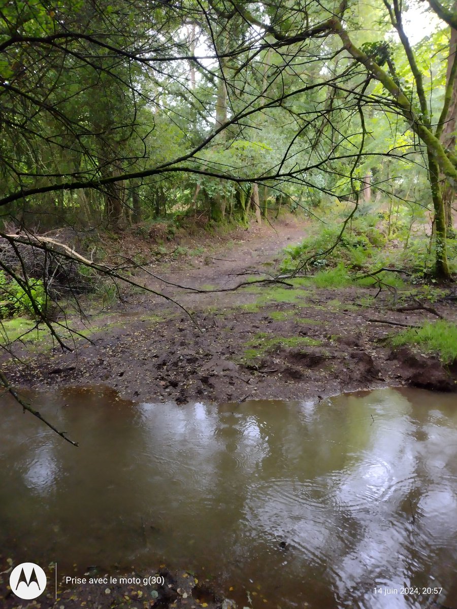 ThiChaplain's tweet photo. C'était un peu couvert mais j'ai pu faire une #balade entre 19h30 et 21h sans prendre une goutte d'#eau. Sinon qui cherche sa #lessiveuse je viens de la retrouver en #forêt. https://t.co/rcsUHTSGgS