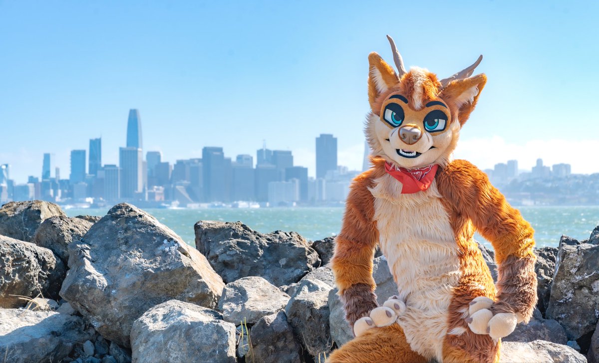 taking in the bay breeze 💨🌁

📸: <a href="/ChatahSpots/">ＭＩＧＯ💢⃤</a> 
🧵: <a href="/AlphaDogsStudio/">Alpha Dogs</a> 
📆: #FursuitFriday