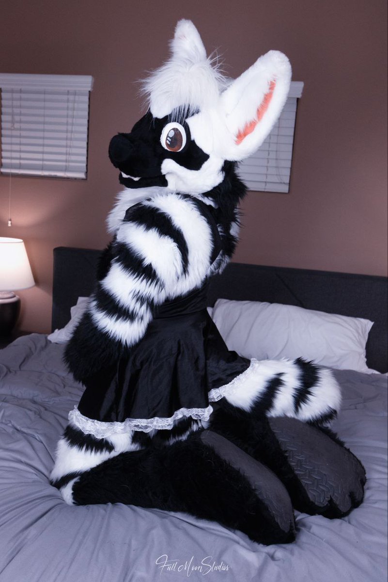Now that I have finished all the chores, I can finally post for #fursuitfriday