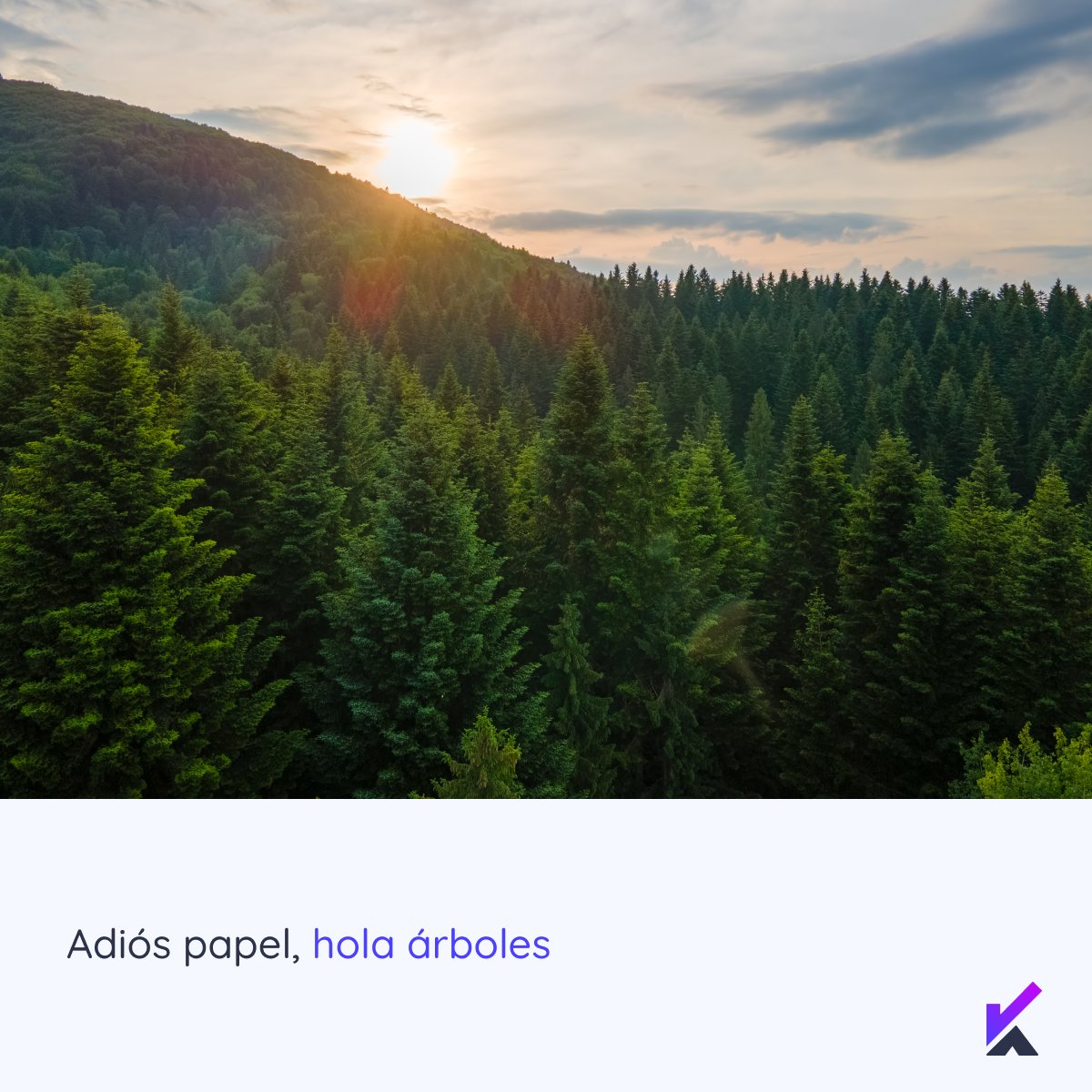 keynuainc's tweet photo. Nuestras videofirmas no son solo eficientes sino que también son amigables con el medio ambiente, dile adiós a las hojas de papel y abraza la tecnología https://t.co/8DGWEJEUIy https://t.co/8n9ZmjPdpu