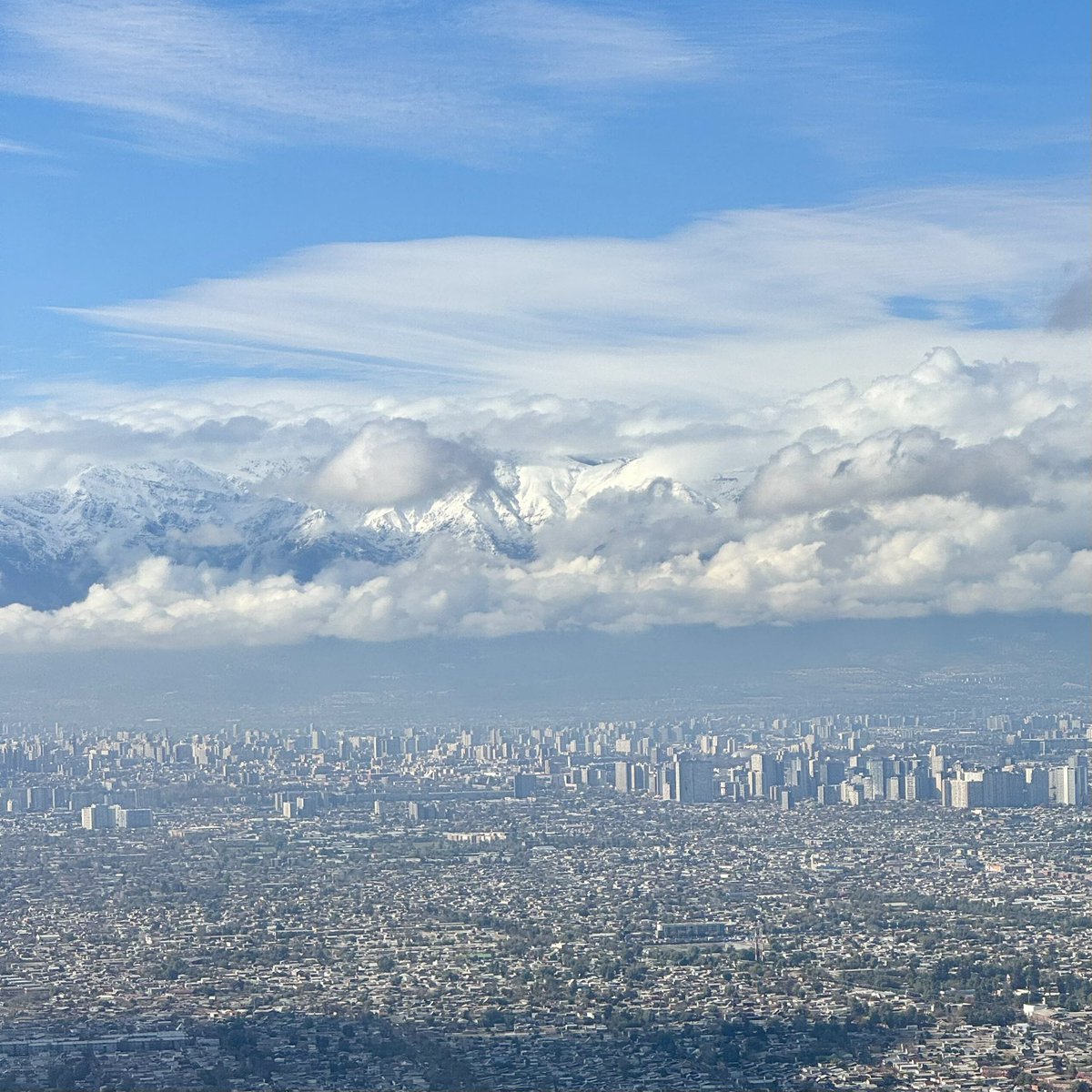 Michael Grossniklaus tweet media