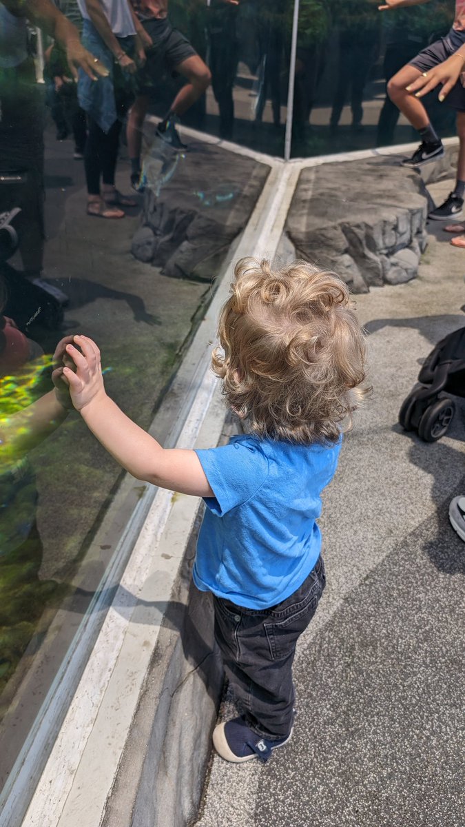 I gave my final Monday and submitted a big grant on Wednesday so today I took the day off and took my little boy to the aquarium.