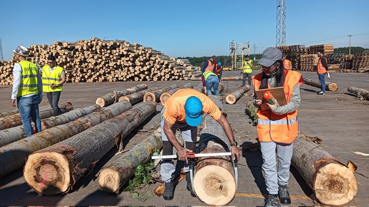 floralvareztab1's tweet photo. 🪵🌳 Gracias al trabajo en equipo del departamento forestal de Garnica de Valencia de Don Juan 🔝💥 y a los alumnos espectaculares del Grado de Ing. Forestal y del Máster de #geoinformatica medimos con forcípula y cinta cada troza, para validar los resultados
#populus3D https://t.co/cATIidNS3m