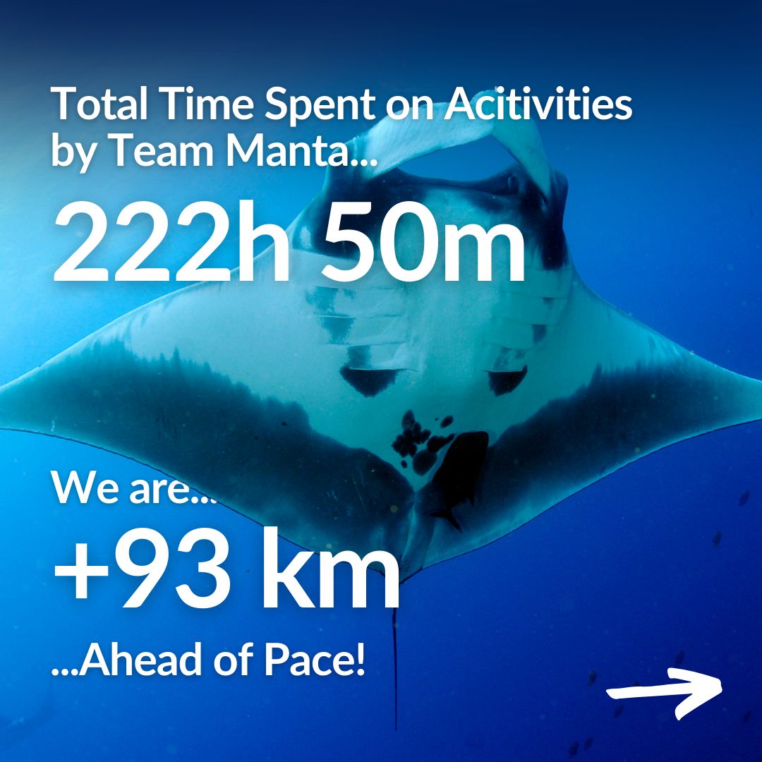 MantaTrust's tweet photo. #TeamManta Cross the Oceans Update!
Β
π To support this fundraiser, or to participate in this virtual challenge, visit the links below!
https://t.co/kA6lXI36pm
https://t.co/btpiTgNHDR
Β
#Fundraiser #Peru #Mexico #Pacific #Challenge #GetActive #CrossTheOceans2024 #MantaTrust https://t.co/Vg7Lun86zi