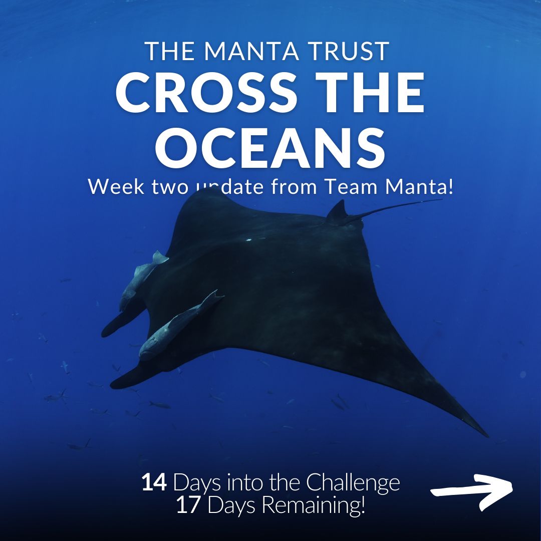 MantaTrust's tweet photo. #TeamManta Cross the Oceans Update!
Β
π To support this fundraiser, or to participate in this virtual challenge, visit the links below!
https://t.co/kA6lXI36pm
https://t.co/btpiTgNHDR
Β
#Fundraiser #Peru #Mexico #Pacific #Challenge #GetActive #CrossTheOceans2024 #MantaTrust https://t.co/Vg7Lun86zi