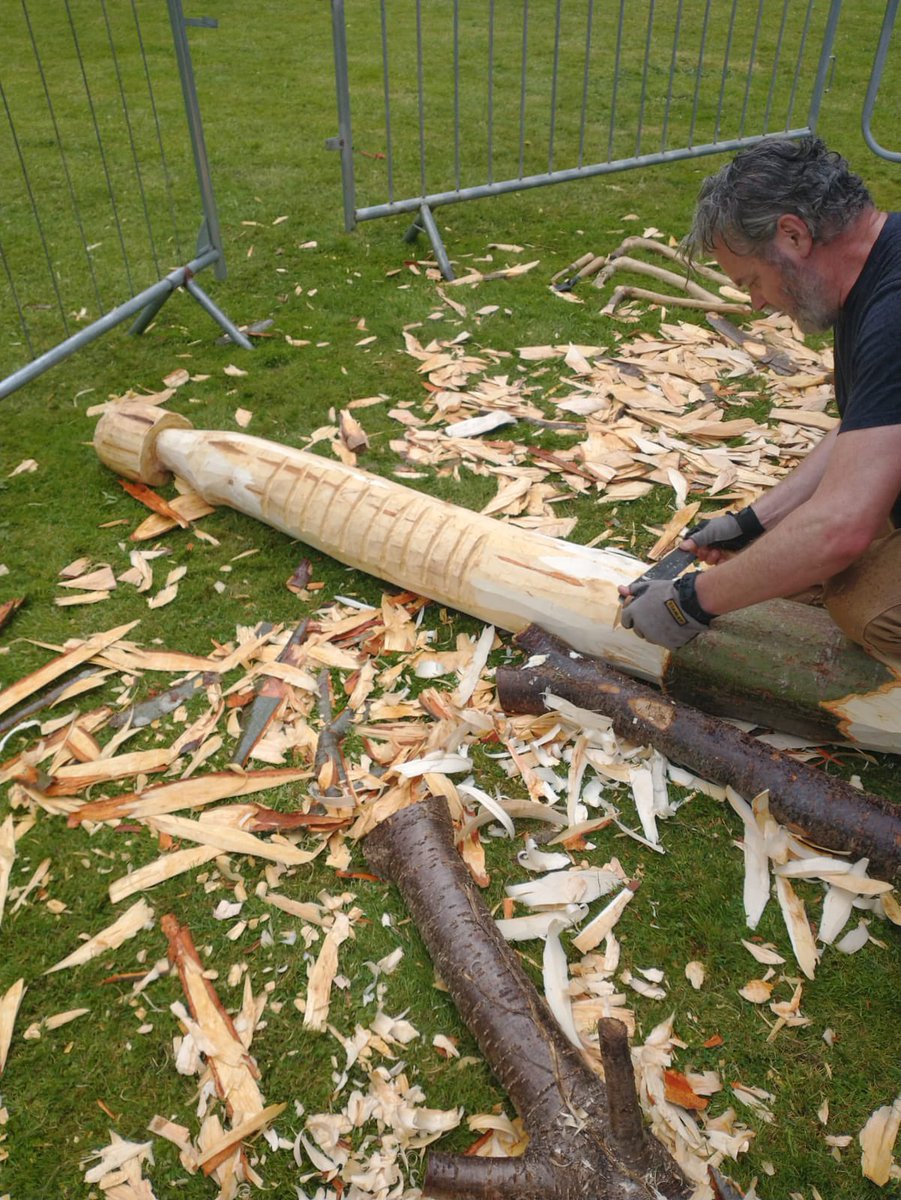 Irish Peatland Archaeology Across Time tweet media