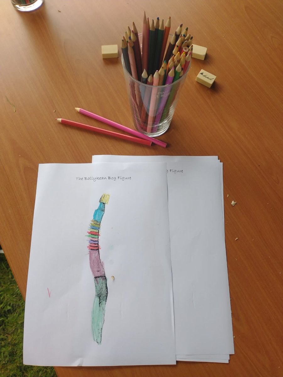 Irish Peatland Archaeology Across Time tweet media