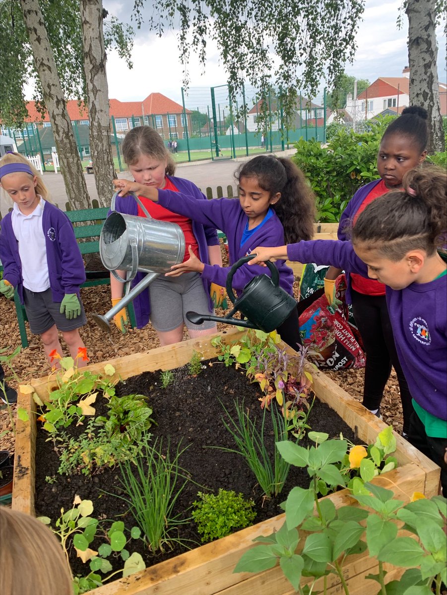 The Green Team have been busy this week planting the new Peace Garden. It's look amazing already! You can see more photos in this week's newsletter cooperslane.lewisham.sch.uk/wp-content/upl…