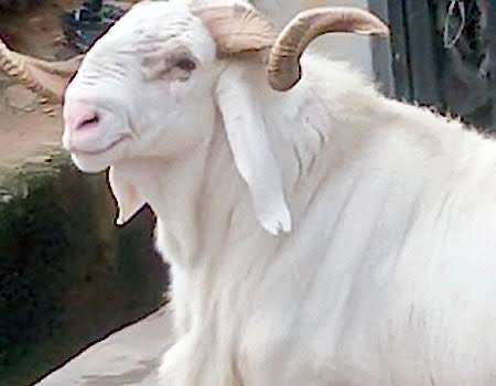 Great guy 🦅 tweet media