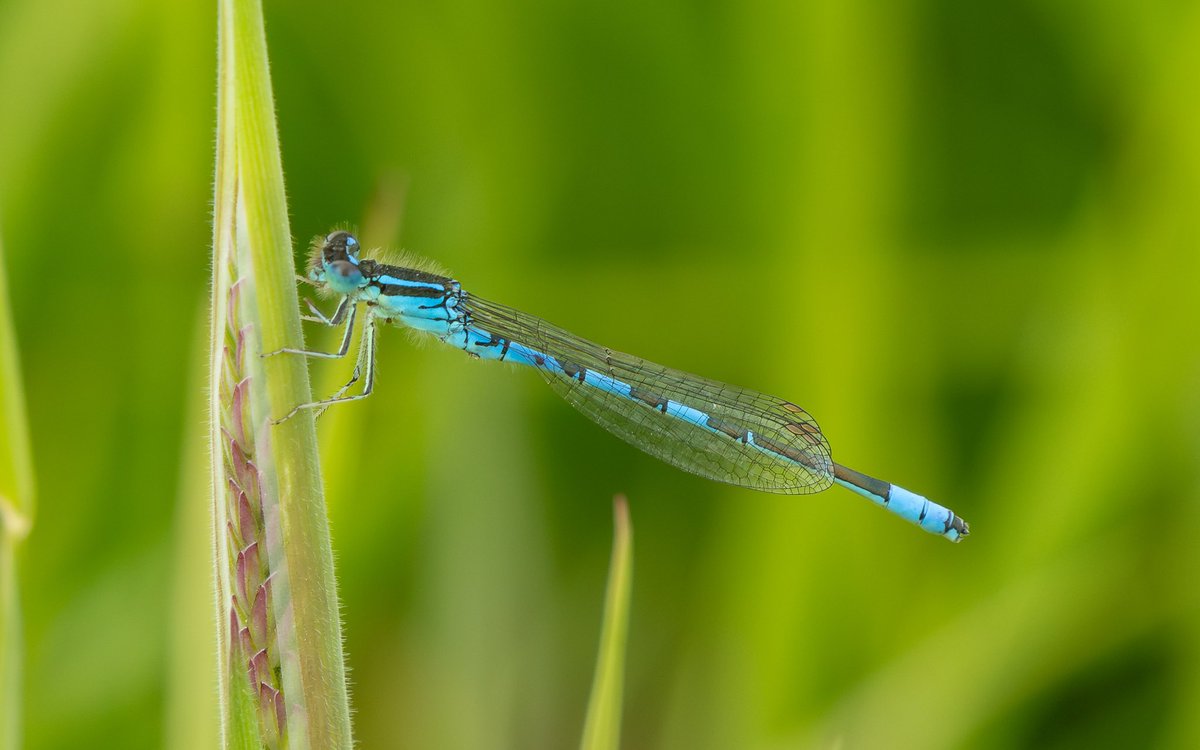 Jonathan Dodds tweet media