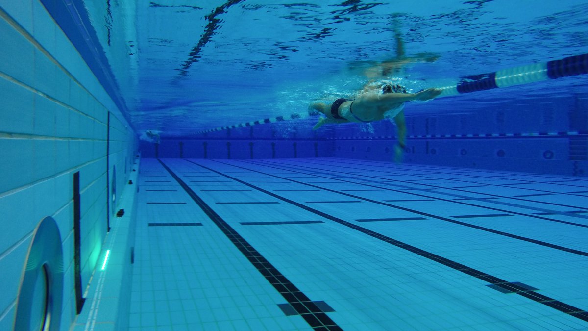 momentum (@dshs_momentum) on Twitter photo Diagnostikcamp im Schwimmzentrum der <a href="/SpohoKoeln/">Deutsche Sporthochschule Köln</a> in Zusammenarbeit mit dem <a href="/svnrw/">Schwimmverband NRW</a>: 21 Nachwuchskader 2 (NK2) Athlet:innen aus ganz #NRW nahmen an den schwimmspezifischen Untersuchungen teil und konnten wertvolle Erkenntnisse für ihre #Trainingssteuerung mitnehmen. Diagnostikcamp im Schwimmzentrum der <a href="/SpohoKoeln/">Deutsche Sporthochschule Köln</a> in Zusammenarbeit mit dem <a href="/svnrw/">Schwimmverband NRW</a>: 21 Nachwuchskader 2 (NK2) Athlet:innen aus ganz #NRW nahmen an den schwimmspezifischen Untersuchungen teil und konnten wertvolle Erkenntnisse für ihre #Trainingssteuerung mitnehmen.