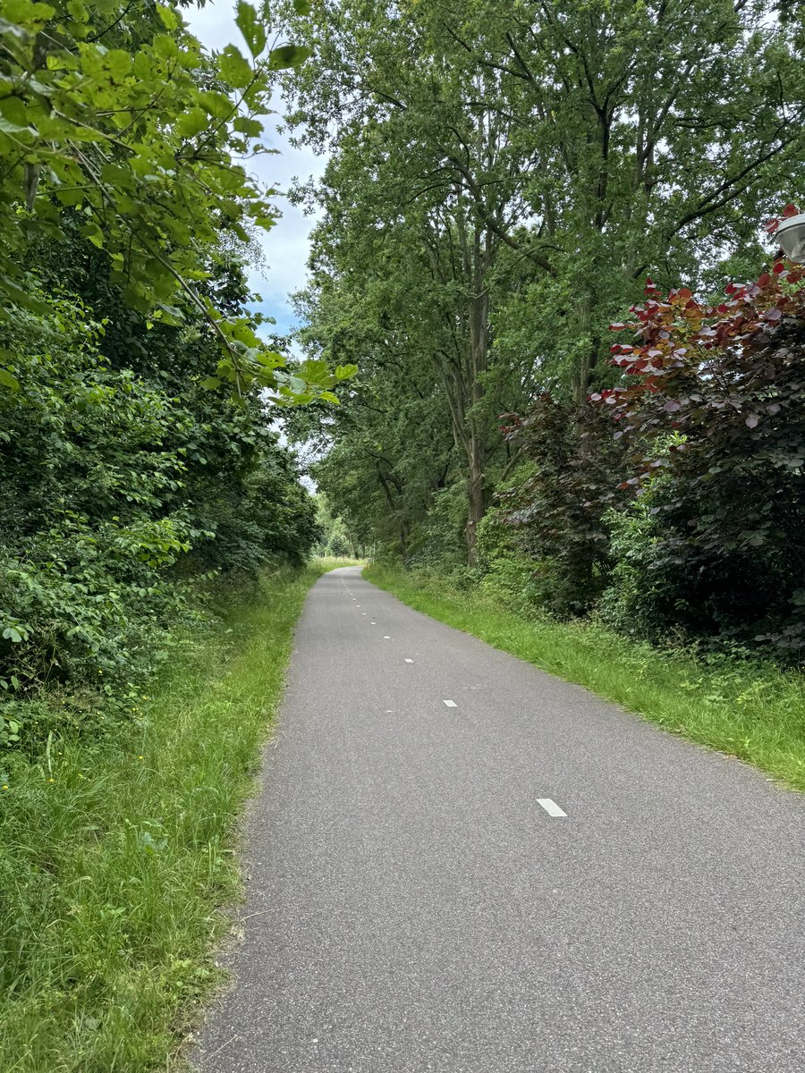 hardestgeezer's tweet photo. Big fan of all the intentional and well designed cycle/foot paths in the Netherlands🇳🇱

Got to be a big contributing factor which makes this country the most active in the world. Would love to see more of this in the UK🇬🇧 https://t.co/eYWtkXAKro