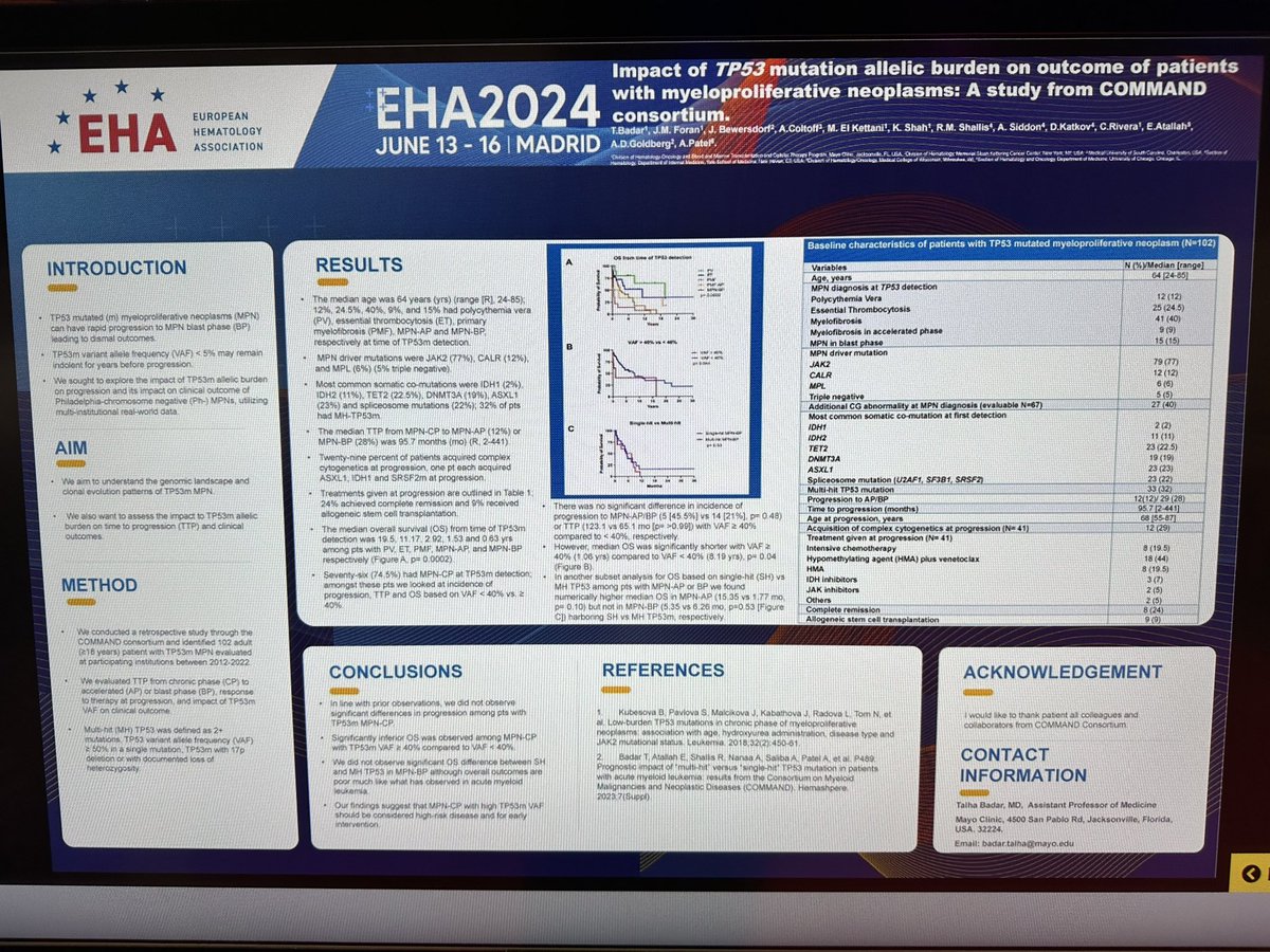 Talha Badar tweet media