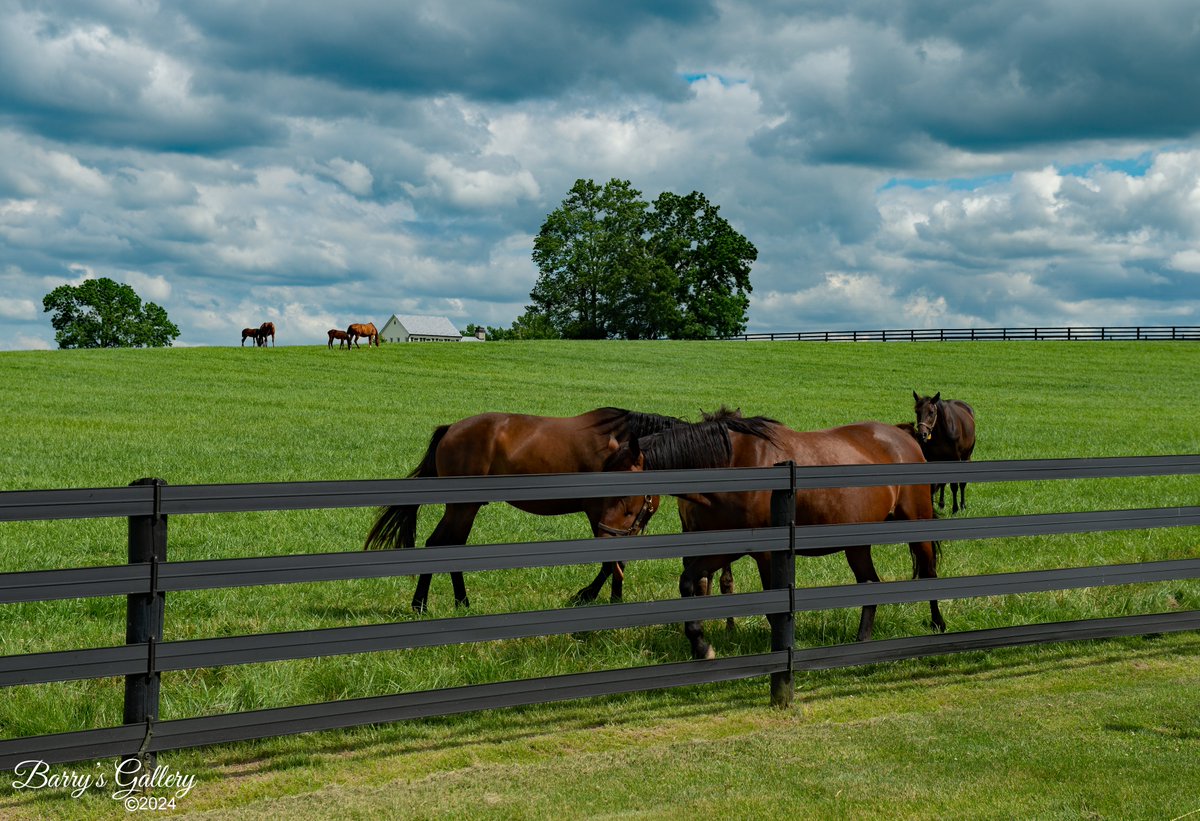 Barry Fowler 📷 tweet media