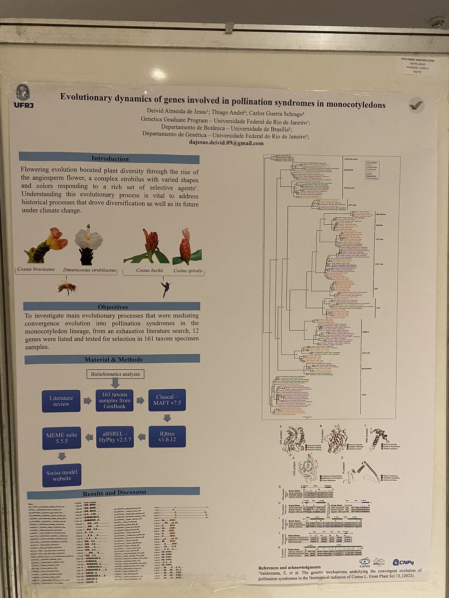 deivid09almeida's tweet photo. This week I have been at the 20th X-meeting conference showing the results of my first year of PhD about evolutionary  dynamics of genes involved in pollen syndrome in Monocots. It was a great opportunity of knowledge and networking. https://t.co/CgSjyudDgX