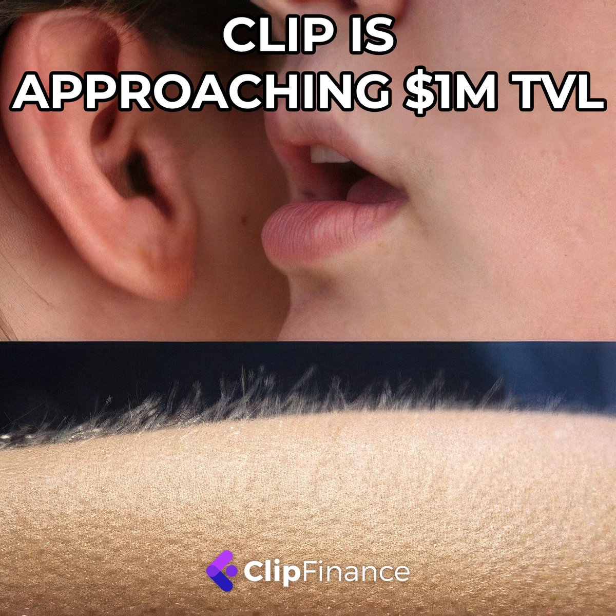 Clip | Access top DeFi yields tweet media