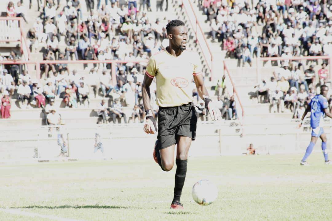 ArenelMoversFC's tweet photo. The Cosafa squad includes a Dynmos second choice goalkeeper..Aaron Ngwenya has played all but two matches. With an impressive ratio of a clean sheet after every two games. 

We are away to @Simbabhora Go Buju Go tomorrow.

Arenel Foods
#LetsPlay https://t.co/Rk4e4q9gYI