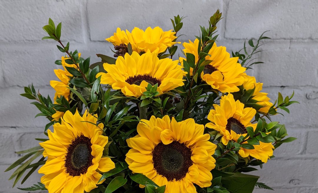 [ <a href="/IDojoStudent11/">『 ＲＯＲＯＮＯＡ ＺＯＲＯ 』</a> ]  I got you sunflowers !!