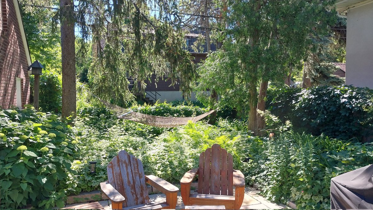 MetroGram's tweet image. My backyard has grown... out of control. It's like Jumanji back there. I need a machete to get to the hammock. #mnsummer #mnproblems