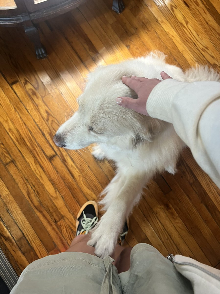 Push Pass tweet media