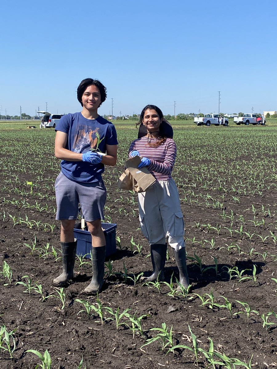 EstherNgumbi's tweet photo. The Dream Summer Research Team. We did it. Sampling one done. Thanks Satinder for leading us! Next is flooding event 1. Our USDA funded project is understanding the impacts flooding has on maize plant growth, physiology, metabolism, and below ground soil microbiome @Satinder1498 https://t.co/NQBLg8X9WZ