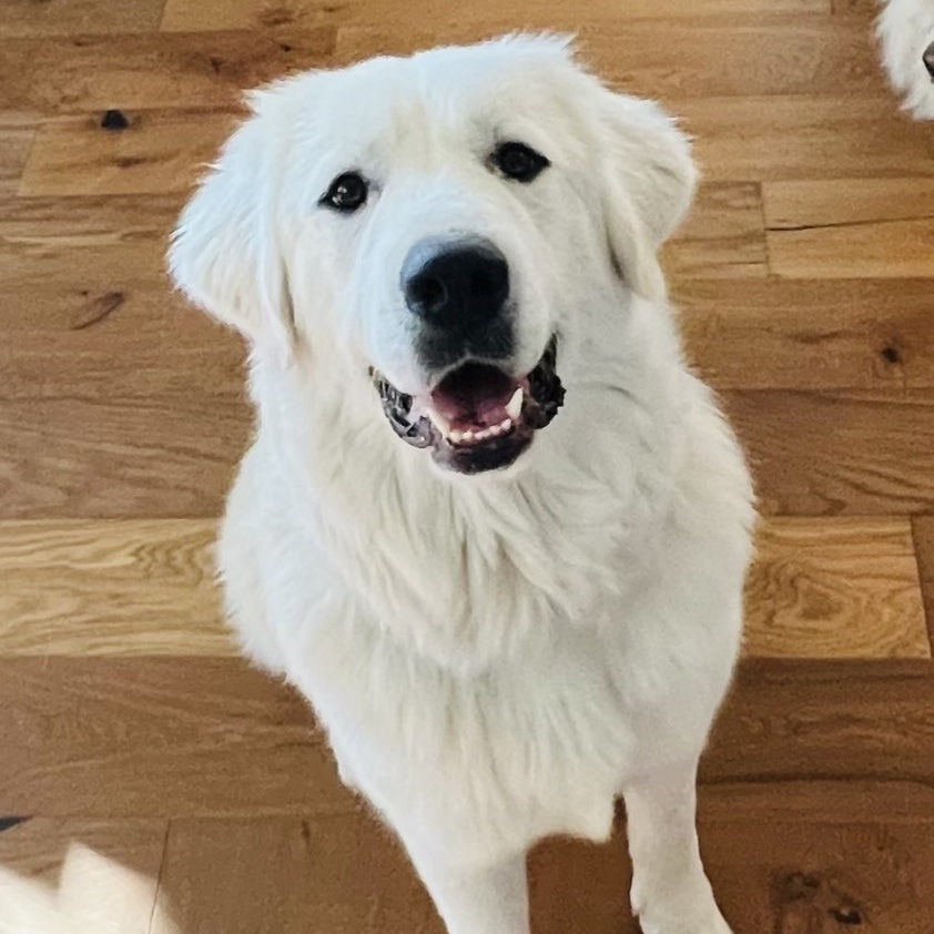 Spin Rescue tweet media