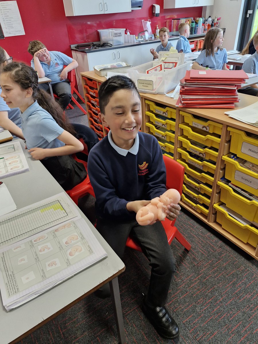 In science, we looked at the gestation period in humans. We used scientific models, which accurately represent, the average weight and length of a foetus at a given time 👶 <a href="/_InspireScience/">Inspire Science</a> <a href="/Inspire_Ashton/">Inspire Academy</a>