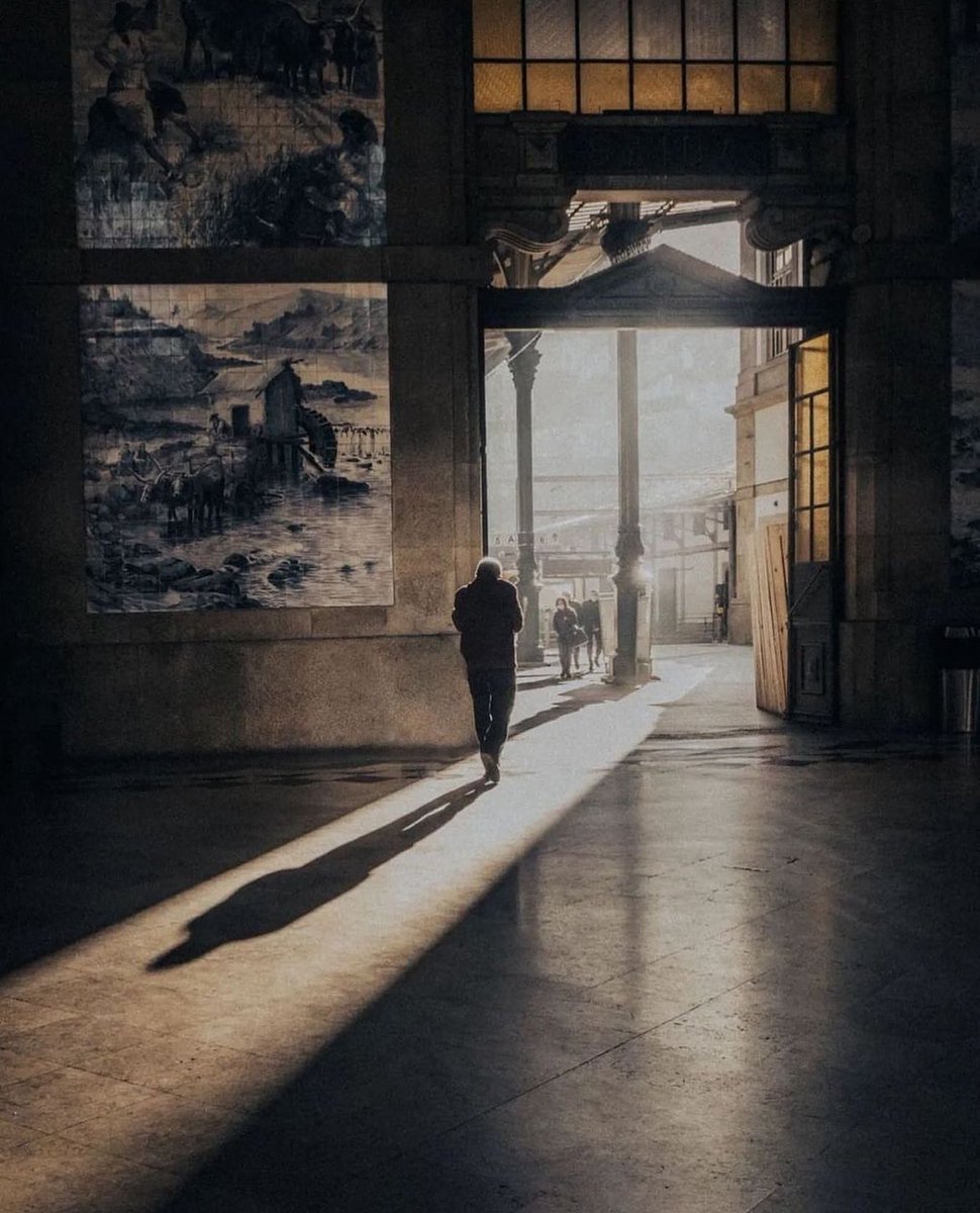 Photographers show us your best morning/sunlight shots 📸