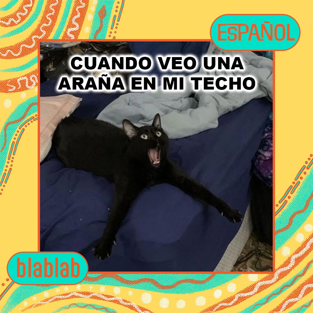 goblablab's tweet image. When I see a spider on my ceiling, it's a full-blown drama scene! Just like learning with blablab—full of dramatic twists and lots of laughs. 🕷️😂
#blablab #SpiderDrama #LanguageLearningFun"