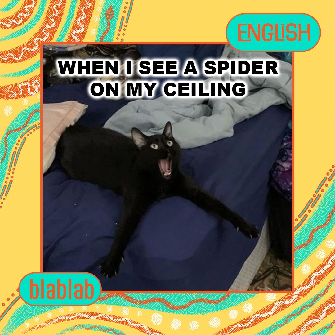 goblablab's tweet image. When I see a spider on my ceiling, it's a full-blown drama scene! Just like learning with blablab—full of dramatic twists and lots of laughs. 🕷️😂
#blablab #SpiderDrama #LanguageLearningFun"