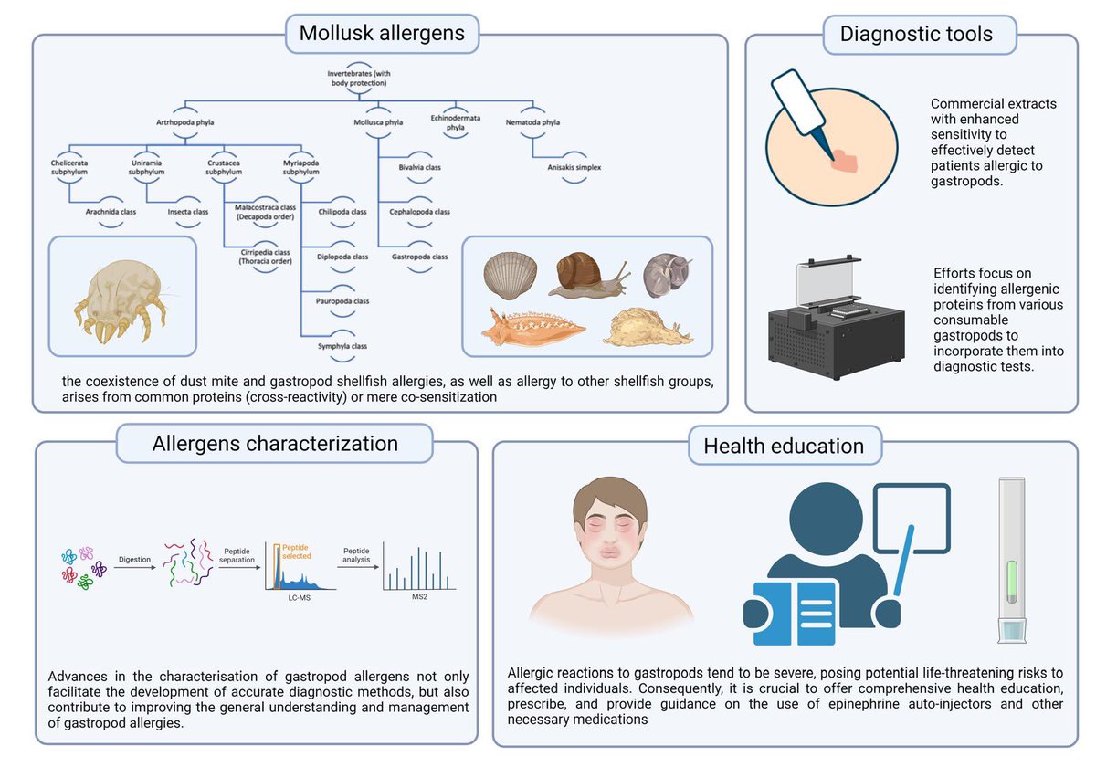 Paloma Poza Guedes (@palomapozag) on Twitter photo Compartimos nuestro último trabajo "Gastropod Allergy: A
Comprehensive Narrative Review" <a href="/MDPIOpenAccess/">MDPI</a> Special Issue Molecular Mechanisms and Regulation in Allergy and Immune Diseases.
<a href="/f_pineda/">Fernando Pineda de la Losa</a> <a href="/Macu_Machin/">Macu Machín</a>
mdpi.com/1467-3045/46/6… <a href="/SEAIC_Alergia/">SEAIC</a> <a href="/SanidadGobCan/">Sanidad Gobcan</a>
Felicidades! Compartimos nuestro último trabajo "Gastropod Allergy: A
Comprehensive Narrative Review" <a href="/MDPIOpenAccess/">MDPI</a> Special Issue Molecular Mechanisms and Regulation in Allergy and Immune Diseases.
<a href="/f_pineda/">Fernando Pineda de la Losa</a> <a href="/Macu_Machin/">Macu Machín</a>
mdpi.com/1467-3045/46/6… <a href="/SEAIC_Alergia/">SEAIC</a> <a href="/SanidadGobCan/">Sanidad Gobcan</a>
Felicidades!