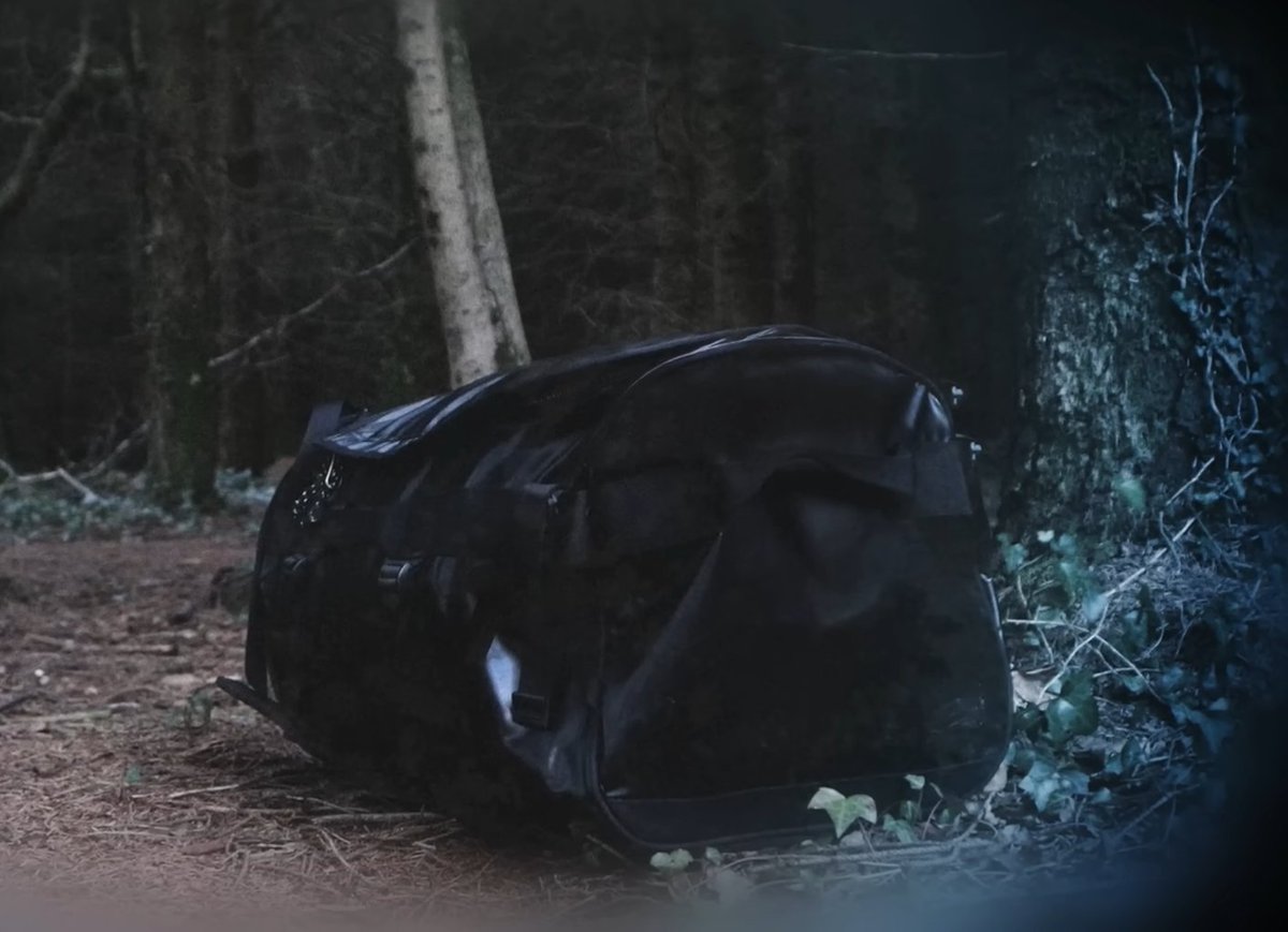 في عام 1985، عثر دب أسود ضخم على شيء ما في الغابة، وفي لحظة من الفضول قام بتمزيقه وأكله. بعدها بـ 10 دقائق فقط، حدث له شيء لم يحدث لأي كائن آخر على وجه الأرض وكشف سلسلة احداث غريبة.

في عام 2023 تم عرض فيلم يحكي قصة هذا الدب