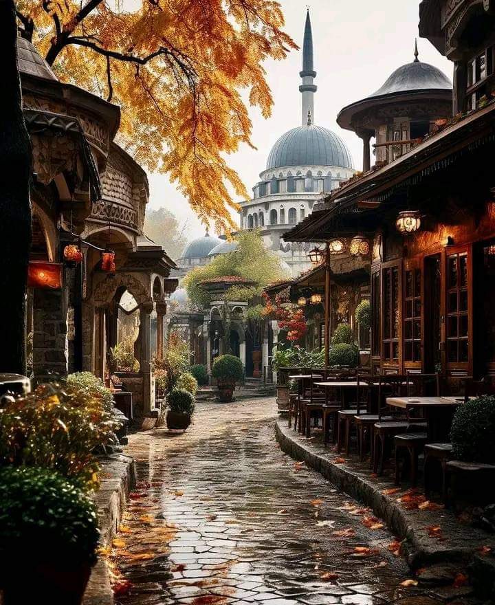gozumdecanIandi's tweet photo. Tarihi dokusu korunsaydı günümüz İstanbul bu şekilde olacaktı... https://t.co/fiX7iUvWzP