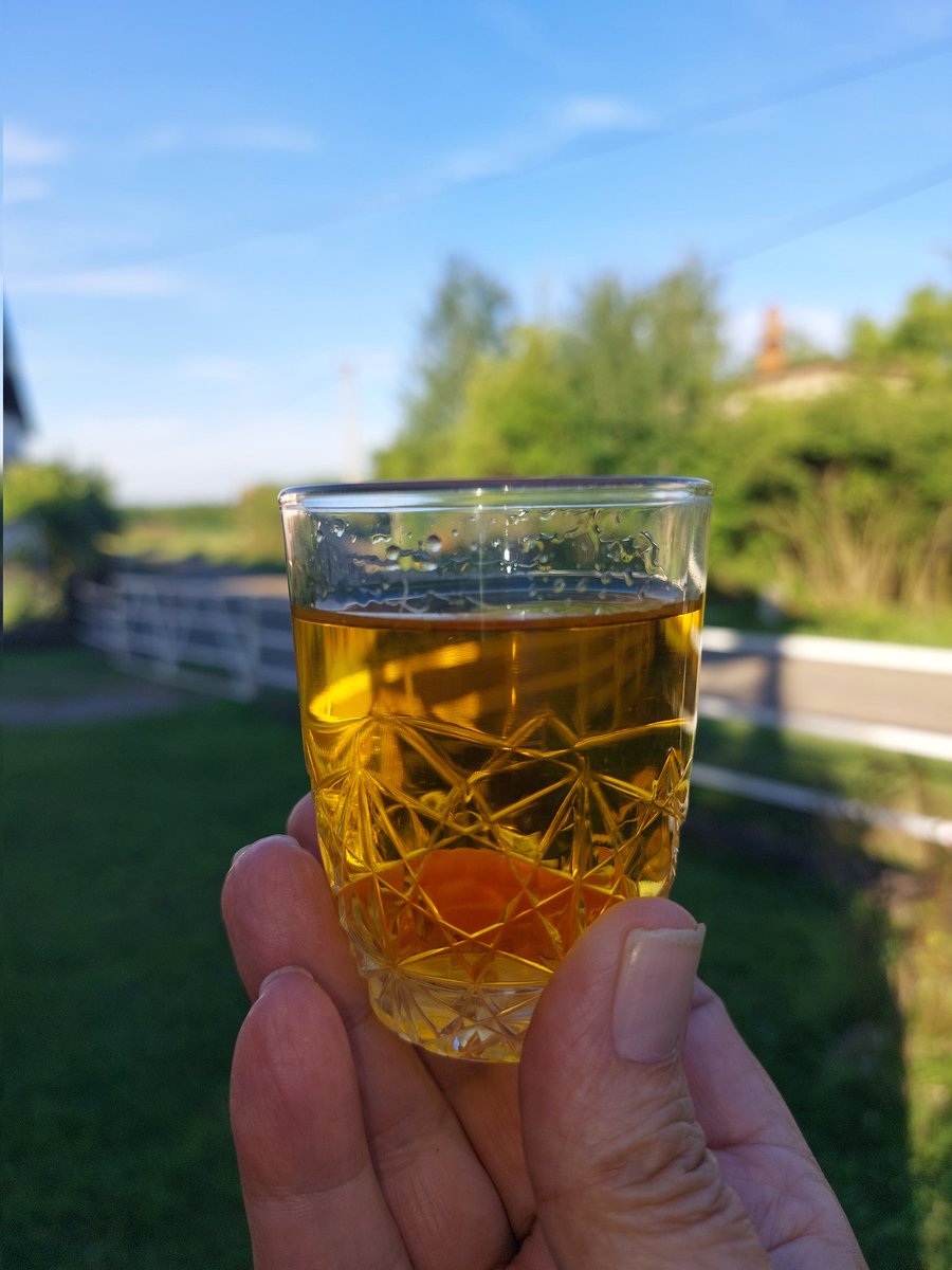 ynwa1959's tweet photo. @baara_a Groetjes uit een zonnig Posavina.#bosna#kruskevac https://t.co/M7DoofItyc