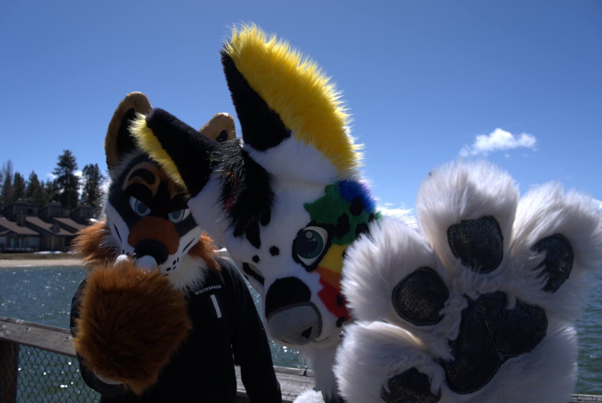 Edit 🔜 FWA (@editthefox) on Twitter photo Hey we said no pics
🌈🐶: @foxgottafrolic
👔:<a href="/arcadianatelier/">arcadian atelier</a> / <a href="/Monstercatsuits/">MonsterCat Creations</a>
#FursuitFriday Hey we said no pics
🌈🐶: @foxgottafrolic
👔:<a href="/arcadianatelier/">arcadian atelier</a> / <a href="/Monstercatsuits/">MonsterCat Creations</a>
#FursuitFriday