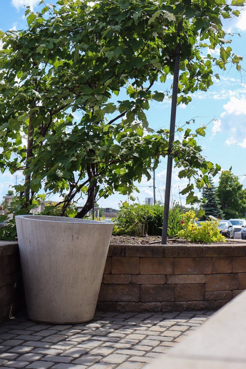 Central Precast tweet media